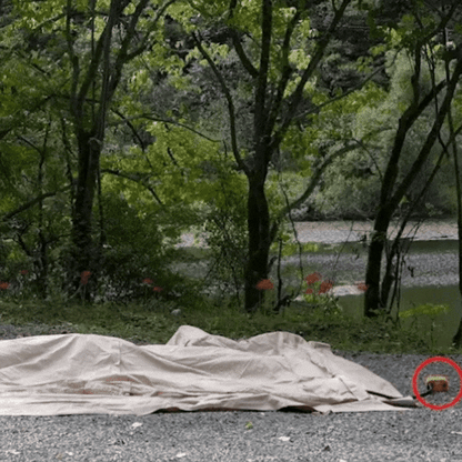 Coody Premium Air Tents